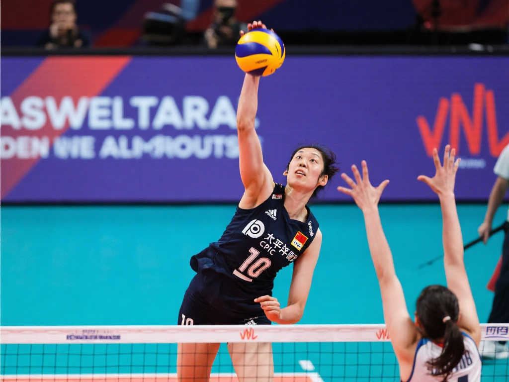 年内建立起 年内建立起