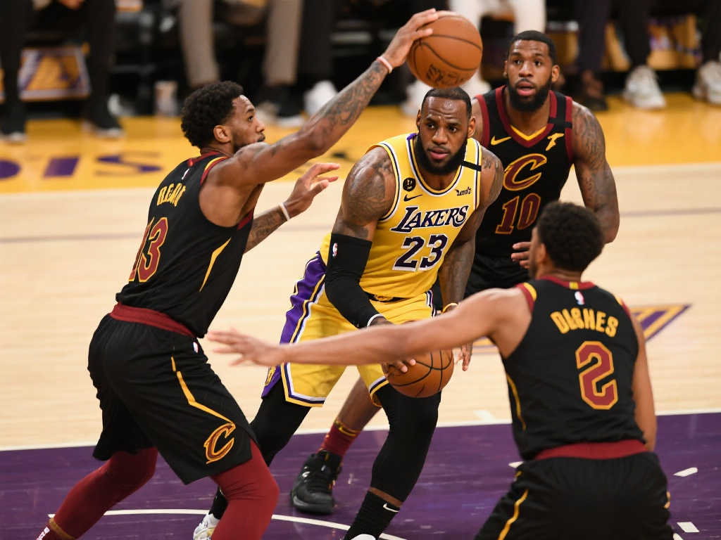 他们成功地 他们成功地